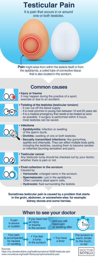 Testicular pain Dr. Ren Sotelo