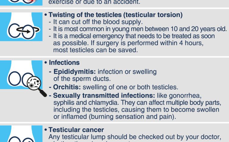  Testicular pain
