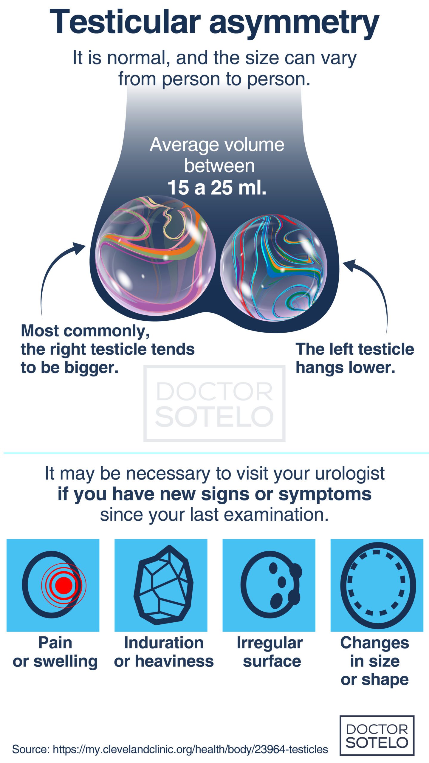Testicular Asymmetry Dr Ren Sotelo