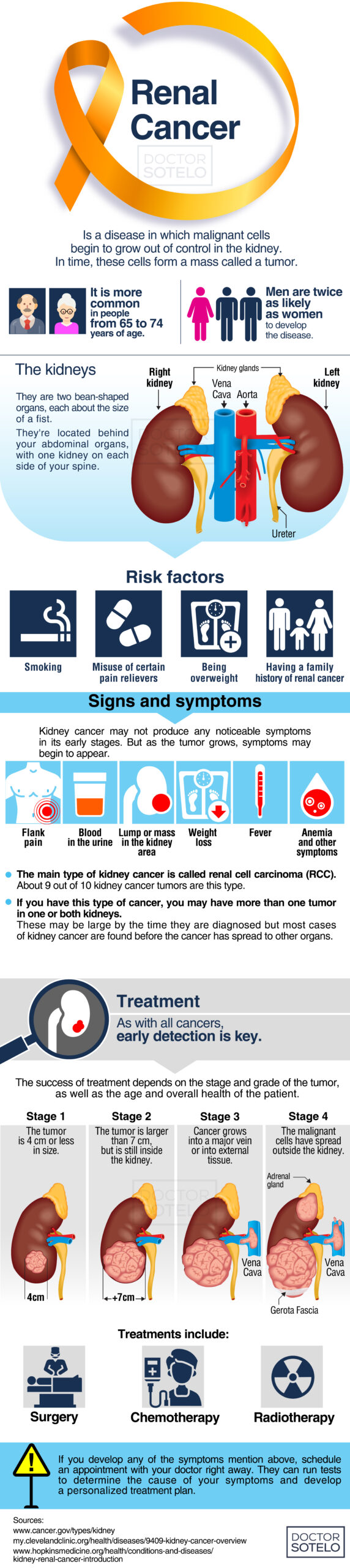 Renal Cancer - Dr. René Sotelo